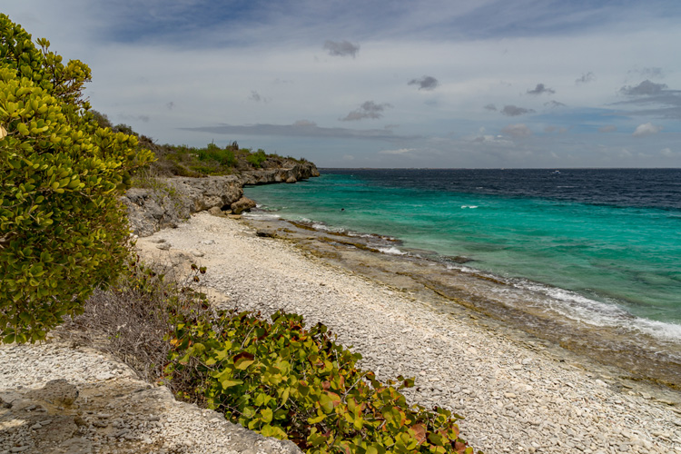 Duiklocatie '1000 Steps' op Bonaire