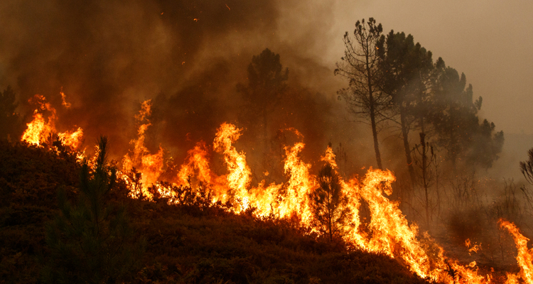 Spaanse universiteit zet speciale drones in voor bestrijding bosbranden