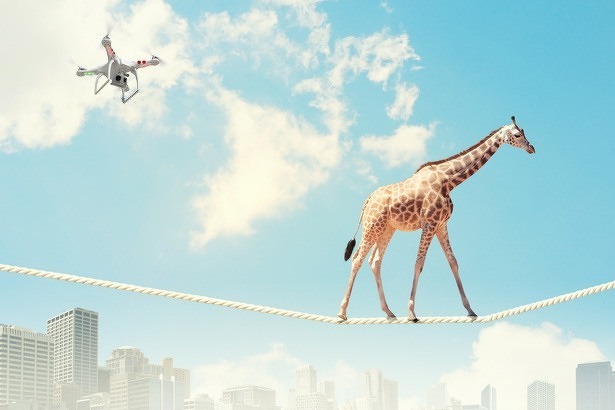 giraf-stunt-drone-phantom