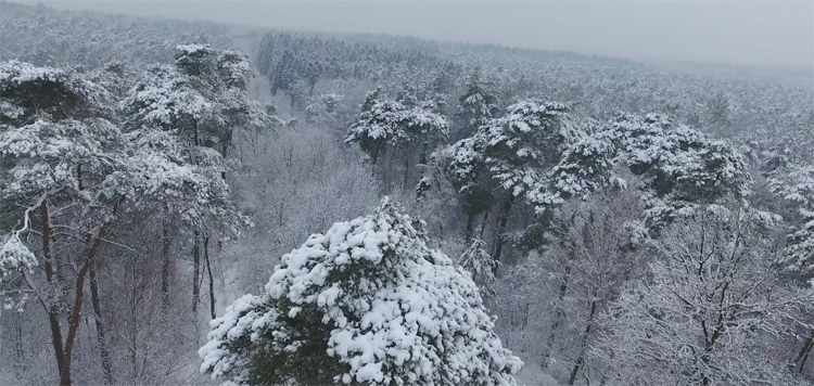 Sneeuwval Utrechtse Heuvelrug gefilmd met DJI Phantom 4 door Belle Aerials